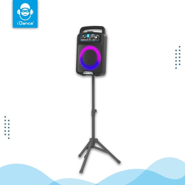 Bluetooth-högtalare GROOVE X1 (BK)