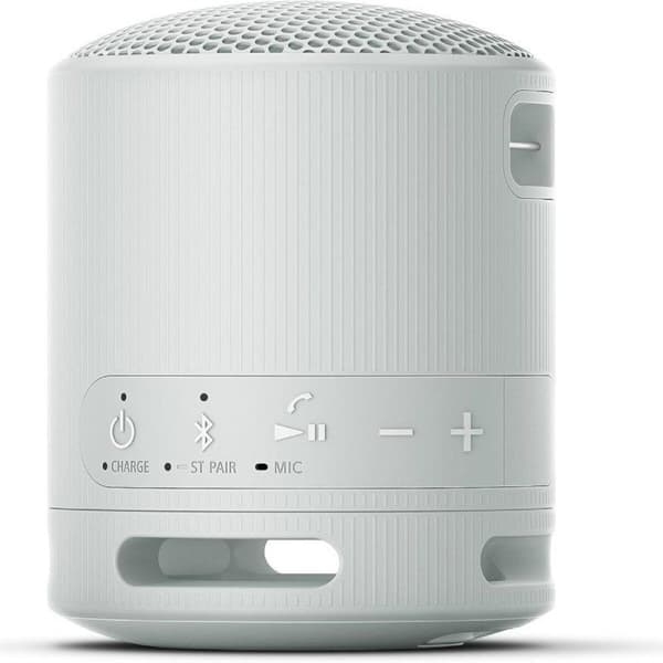 Kannettavat Bluetooth-kaiuttimet Sony SRSXB100H.CE7 Harmaa