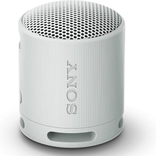 Kannettavat Bluetooth-kaiuttimet Sony SRSXB100H.CE7 Harmaa Harmaa