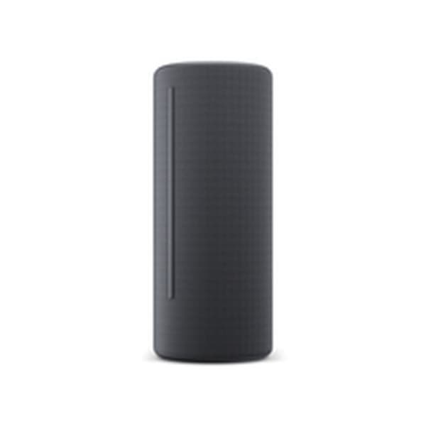 Bluetooth-kaiuttimet Loewe Harmaa