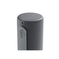 Pikkukuva 7 / 11: Bluetooth-kaiuttimet Loewe Harmaa