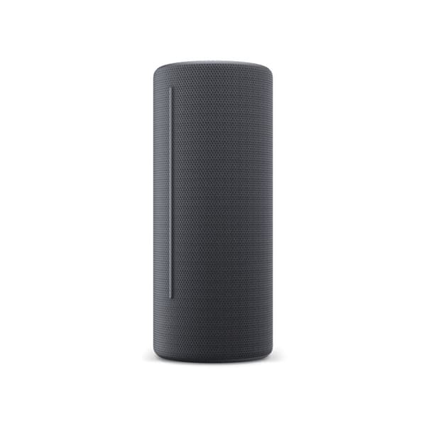 Bluetooth Högtalare Loewe Grå