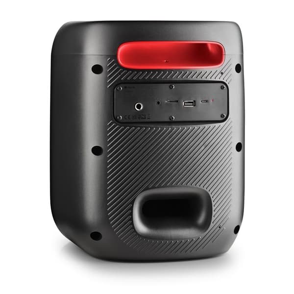NGS Wild Swag Go: bärbar högtalare 80 W, batteri 10 h och LED-lampor - BT/TWS/USB/TF/AUX IN, mikrofoningång, DSP, svart.
