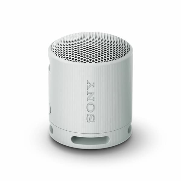 Bärbar Bluetooth Högtalare Sony SRSXB100H.CE7 Grå