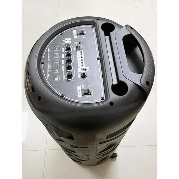Karaokehögtalare - INOVALLEY - Lysande - 1000 Watt - Bluetooth V5.0 - Batteritid 2 till 3 timmar - Trådlös mikrofon ingår
