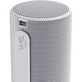 Miniatyrbillede 5 af 6: LoeWE - We. HEAR 2 Trådlös Bärbar Högtalare - Bluetooth - 60W - IPX6 - 17 timmars Batteritid - Kall Grå