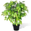 Miniatyrbillede 1 af 2: vidaXL Kunstig Dværg Ficus med Potte 60 cm