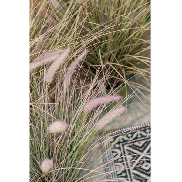 Emerald Kunstig pennisetum grønn 71 cm 418155