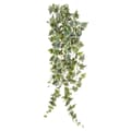 Miniatyrbilde 1 av 3: Emerald Kunstig hengende eføybuske tofarget grønn 100 cm 11.960