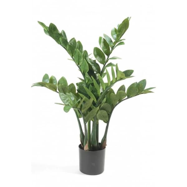 Emerald kunstig zamioculcas 70 cm