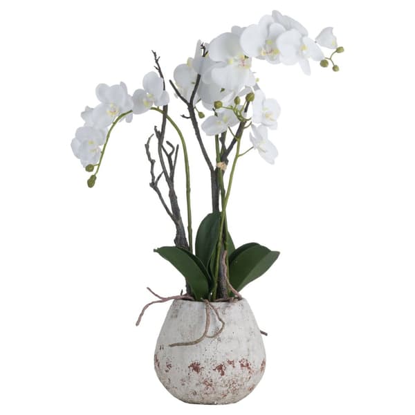 Hill Interiors Orchid In Stone Pot White 70 x 46 x 46cm
