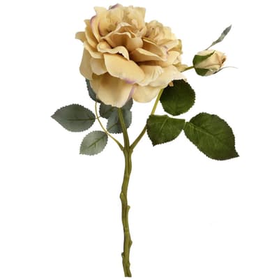 Hill Interiors Artificial Short Stem Fashion Rose