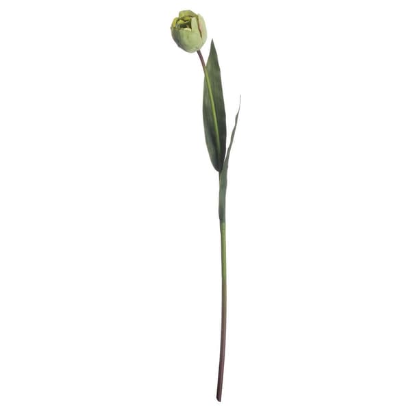 Hill Interiors Kunstig grøn tulipanplante