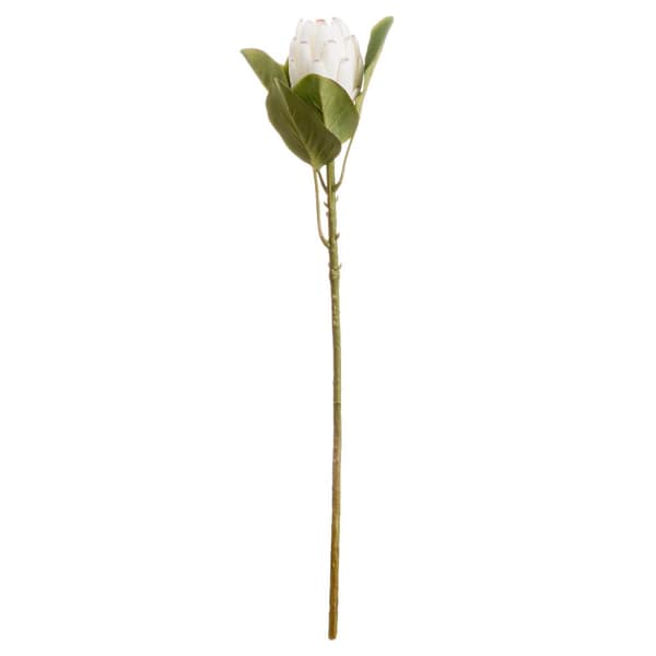Hill Interiors Kunstig lukket Protea blomst White One Size