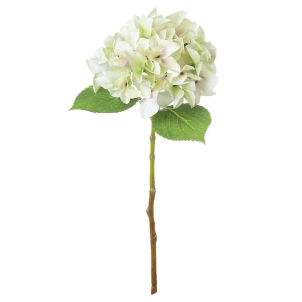 Hill Interiors Shabby hortensia kunstig blomst Green One Size