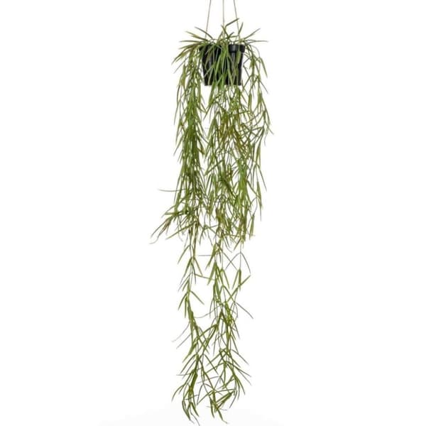 Emerald Konstväxt i kruka hängande buske 50 cm