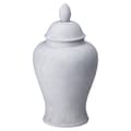 Miniatyrbilde 1 av 2: Hill Interiors Darcy Stone Effect Ginger Jar
