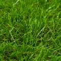 Miniatyrbillede 2 af 4: vidaXL kunstgræs 1x15 m/30 mm grøn