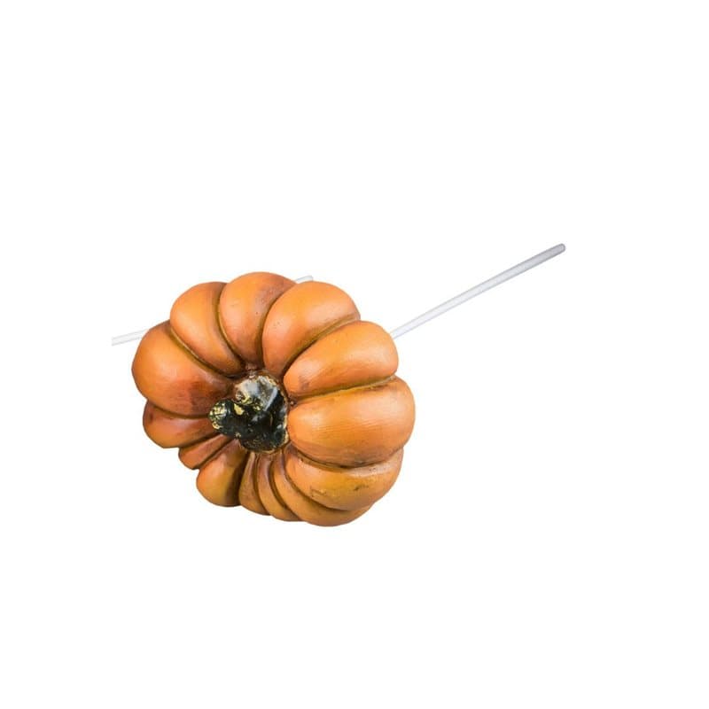 Pumpa på pinne, 6 cm.