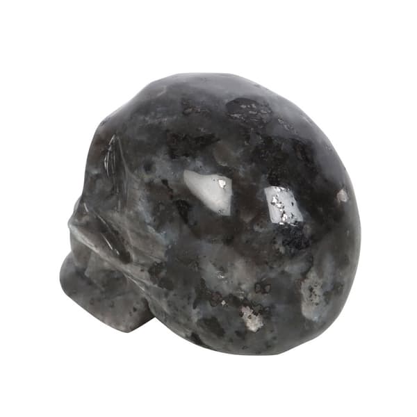 Something Different Dark Matter Labradorite Skull Crystal