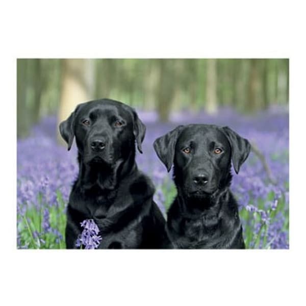 Kevin Milner Countryside Working Friends Greetings Card