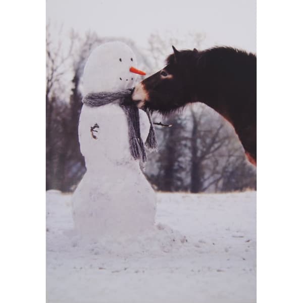 Kevin Milner Exmoor Pony And Snowman Christmas Card Multicoloured One Size