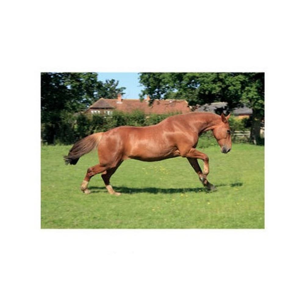 Kevin Milner Hälsningskort från Countryside Chestnut