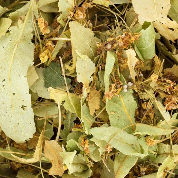 Lindblomma 100g