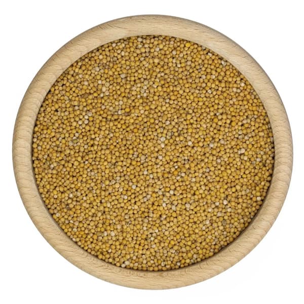 Vita senapsfrön 1 kg