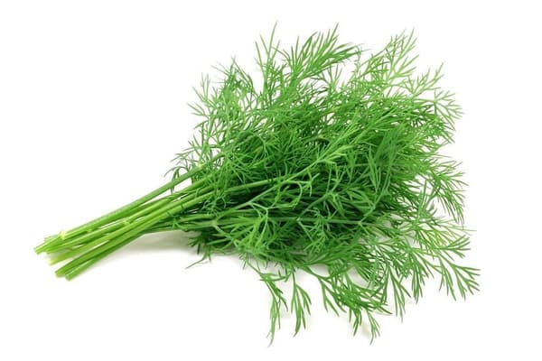 Kuivattua tilliä (neulanen) 250g / Naturo
