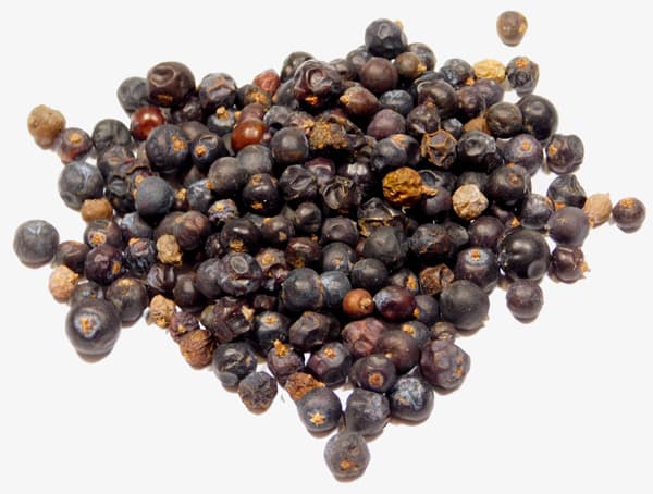 JUNIOR FRUKT 50g