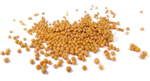 VALKOISIA SINAPINSIEMENIÄ 250 g