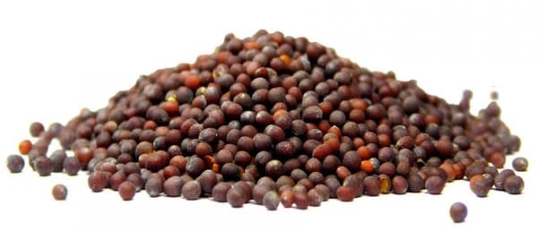 Svarta senapsfrön 100g