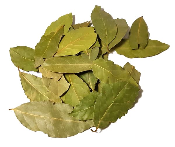 LAUBERBLADE 30g