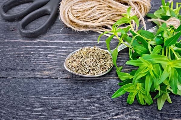 Kuivattu timjami, mauste - 100 g, aromaattinen