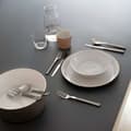 Miniatyrbild 2 av 2: Alessi bordssked - DC05/1 - Santiago bordssked i 18/10 rostfritt stål silver, set med 6 delar