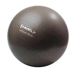 YB02 NY 65CM GRIZZLY ANTI-BURST BRUN GYMNASTISK BOLLE HMS