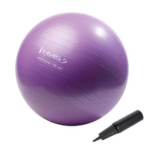 YB02 NY 65CM LILLA ANTI-BURST HMS GYMNASTISK BALL