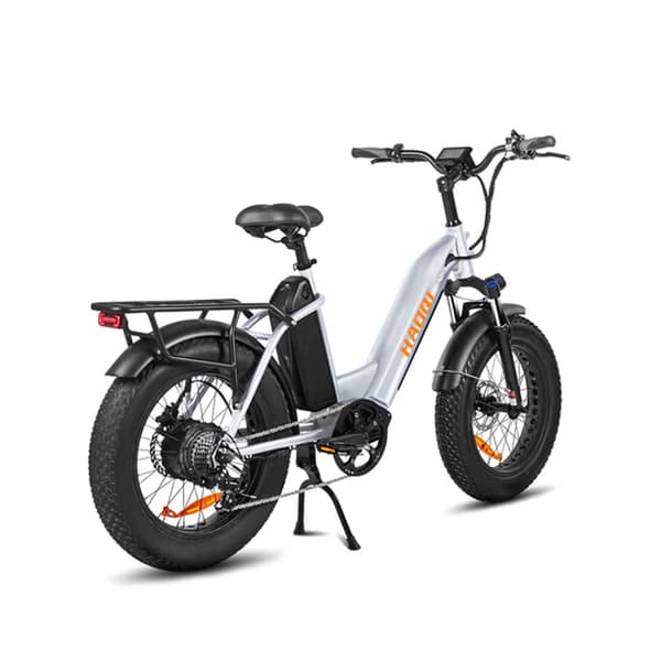 HAOQI Antelope2.0 Elcykel för vuxna 250W, dampendling, 48V25AH, 20" elcykel med feta däck, herrcykel