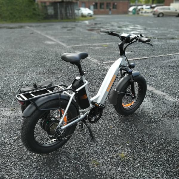 HAOQI Antelope2.0 Elcykel för vuxna 250W, dampendling, 48V25AH, 20" elcykel med feta däck, herrcykel