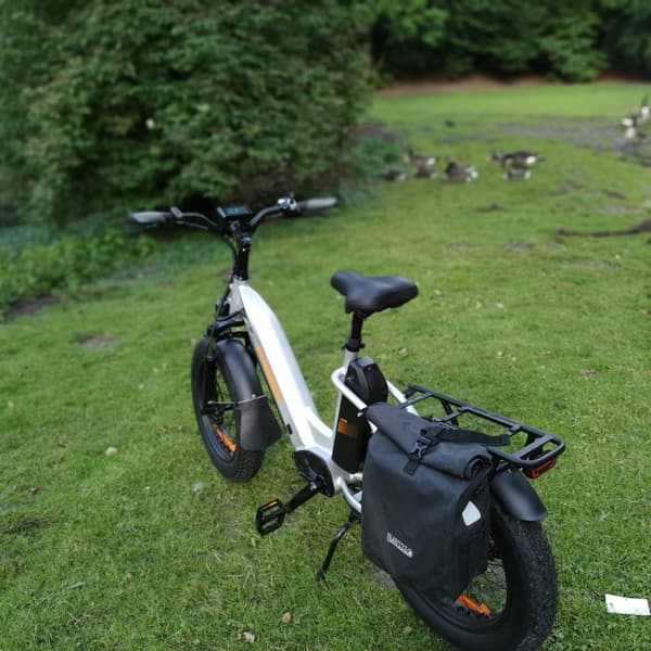 HAOQI Antelope2.0 Elcykel för vuxna 250W, dampendling, 48V25AH, 20" elcykel med feta däck, herrcykel
