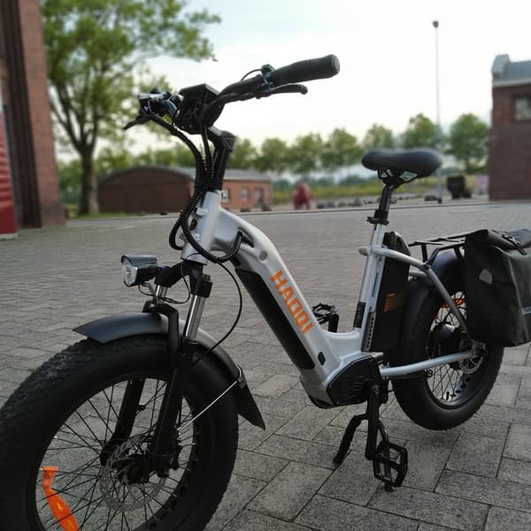 HAOQI Antelope2.0 Elcykel för vuxna 250W, dampendling, 48V25AH, 20" elcykel med feta däck, herrcykel