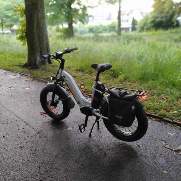 HAOQI Antelope2.0 Elcykel för vuxna 250W, dampendling, 48V25AH, 20" elcykel med feta däck, herrcykel