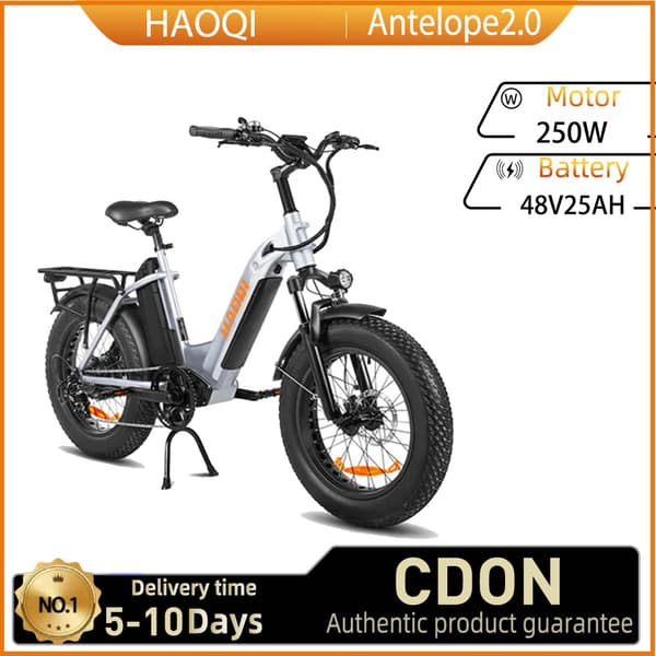 HAOQI Antelope2.0 Elcykel för vuxna 250W, dampendling, 48V25AH, 20" elcykel med feta däck, herrcykel
