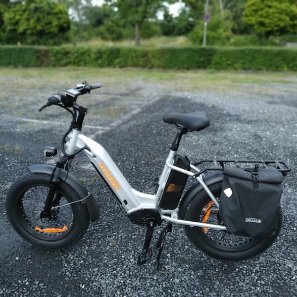 HAOQI Antelope2.0 Elcykel För Vuxna 250W48V25Ah Elcykel 20” Däck Elcykel Åttasidig Vridmomentsensor