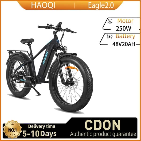 HAOQI Eagle2.0 aikuisille 250 W:n sähköpyörä kaupunkiin, työmatkakäyttöön, 48 V, 20 Ah, 26 tuuman paksurenkainen miesten sähköpyörä