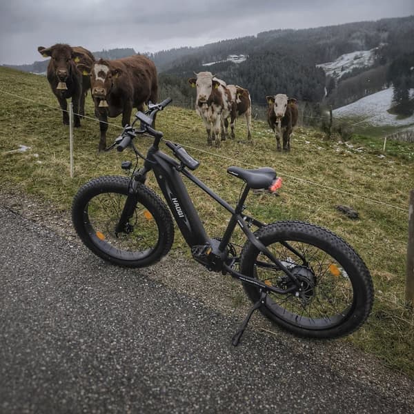 HAOQI Eagle2.0 Elcykel För Vuxna 250W48V20Ah Elcykel 26” Däck Elcykel Shimano 7-växlad