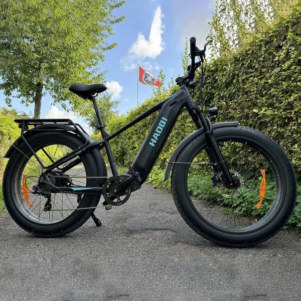 HAOQI Eagle2.0 Elcykel För Vuxna 250W48V20Ah Elcykel 26” Däck Elcykel Shimano 7-växlad