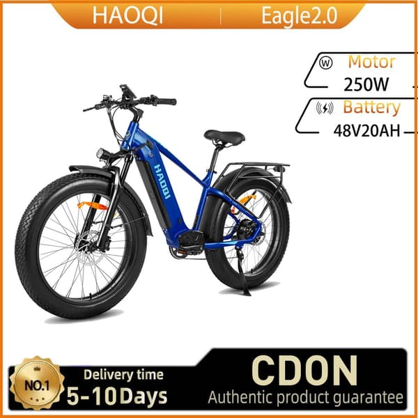 HAOQI Eagle2.0 Elcykel För Vuxna 250W48V20Ah Elcykel 26” Däck Elcykel Räckvidd Upp Till 110 Kilometer