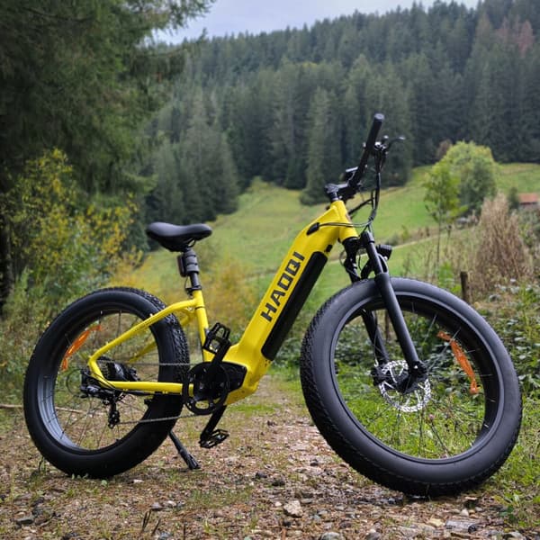 HAOQI Eagle2.0 Elcykel För Vuxna 250W48V20Ah Elcykel 26” Däck Elcykel Justerbar Fjädringsgaffel Med Låsfunktion